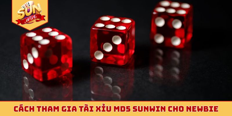 Cách tham gia tài xỉu MD5 Sunwin cho newbie