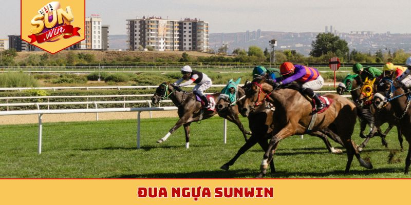 đua ngựa Sunwin