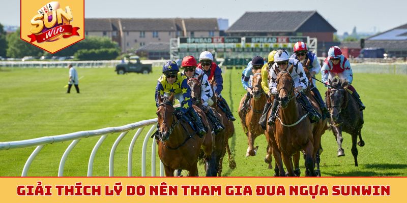 Giải thích lý do nên tham gia đua ngựa Sunwin