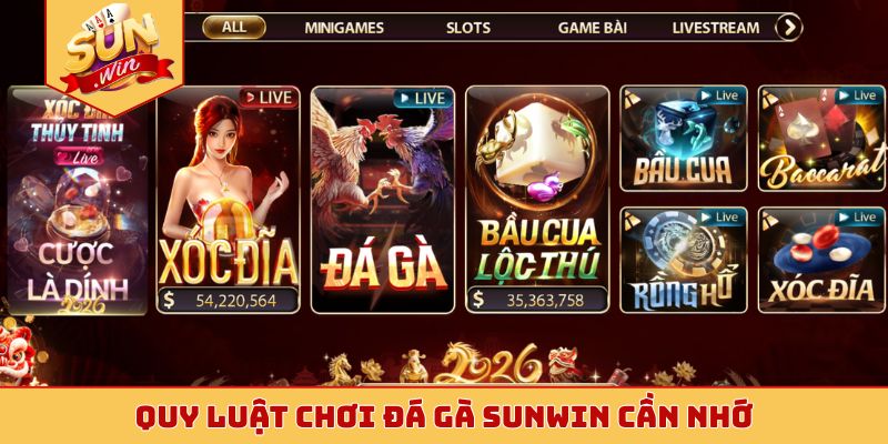 Quy luật chơi đá gà Sunwin cần nhớ